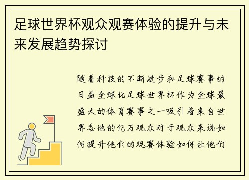 足球世界杯观众观赛体验的提升与未来发展趋势探讨